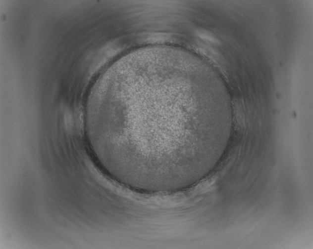 X0000072550016200607211410