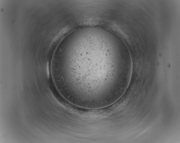 X0000072550020200607211410