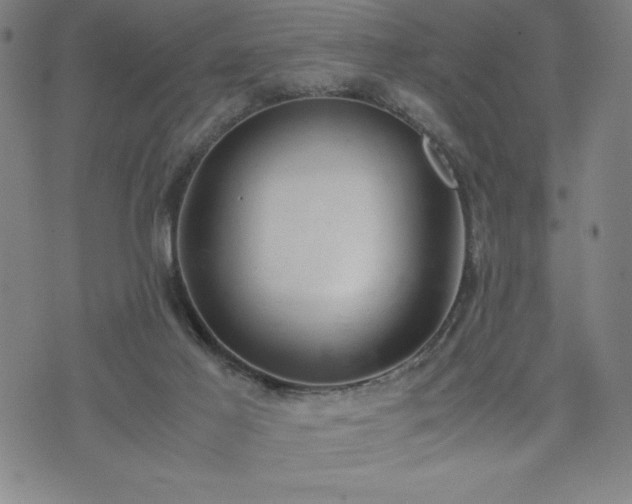 X0000072550021200607211410