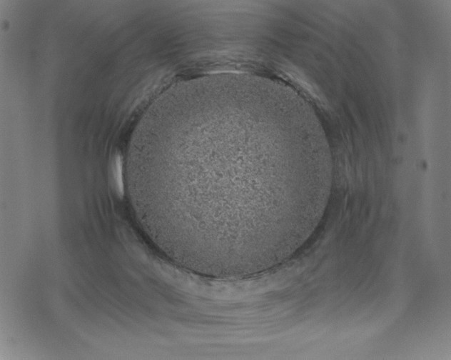 X0000072550022200607211410