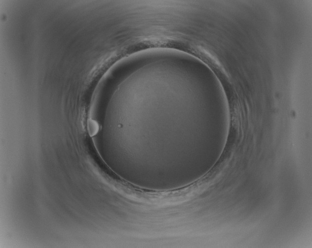 X0000072550023200607211410