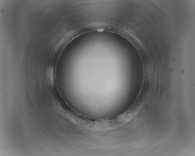 X0000072550024200607211410