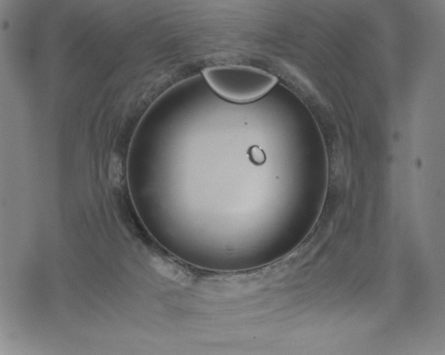 X0000072550025200607211410