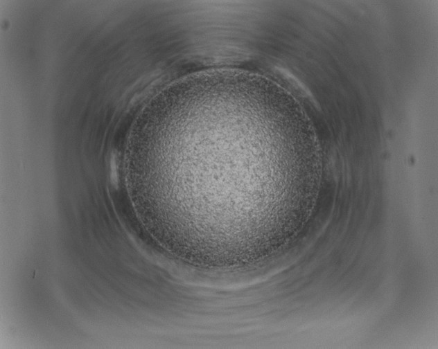 X0000072550026200607211410