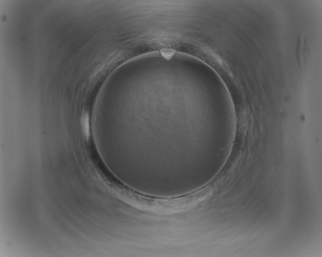 X0000072550027200607211410