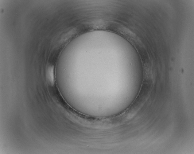 X0000072550028200607211410