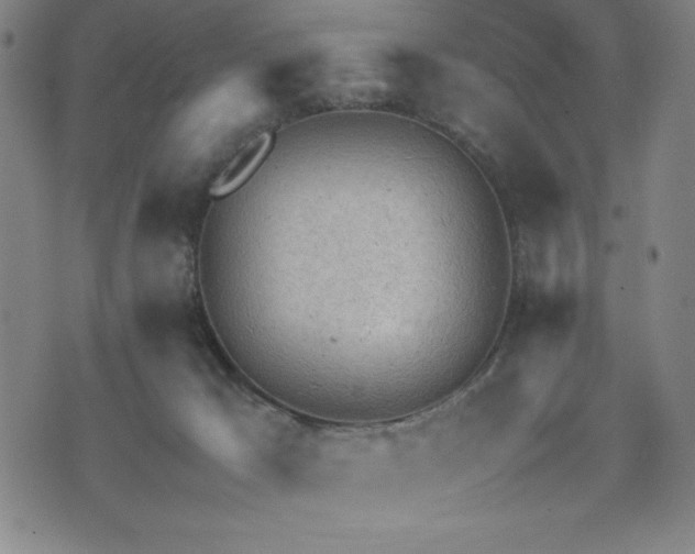 X0000072550029200607211410