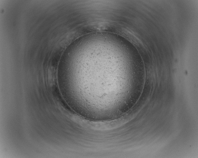 X0000072550030200607211410