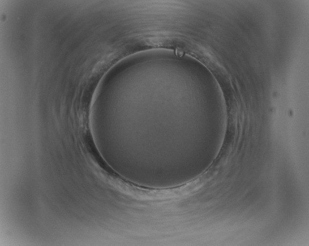 X0000072550031200607211410