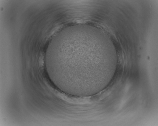 X0000072550032200607211410