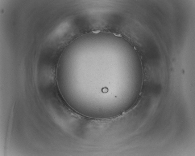 X0000072550033200607211410