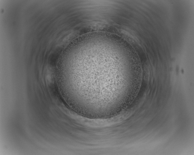 X0000072550034200607211410