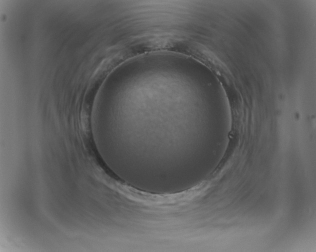 X0000072550035200607211410