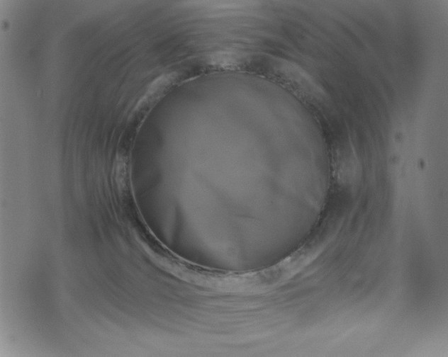 X0000072550036200607211410