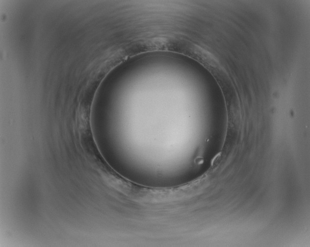 X0000072550037200607211410