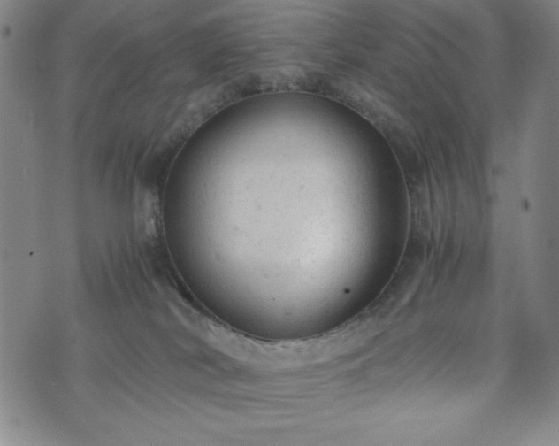 X0000072550038200607211410