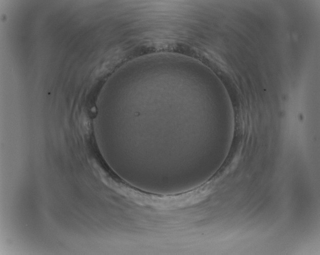 X0000072550039200607211410