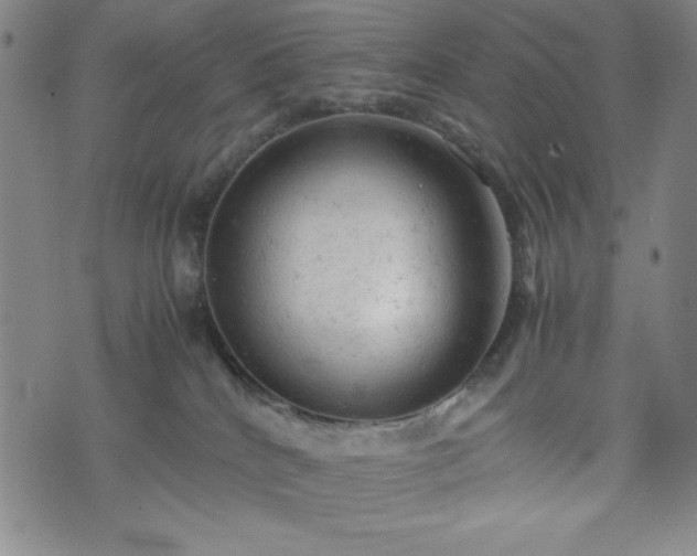 X0000072550040200607211410