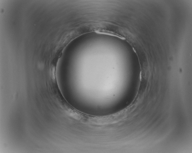 X0000072550041200607211410