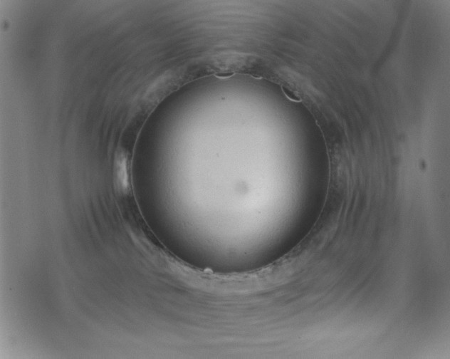 X0000072550042200607211410