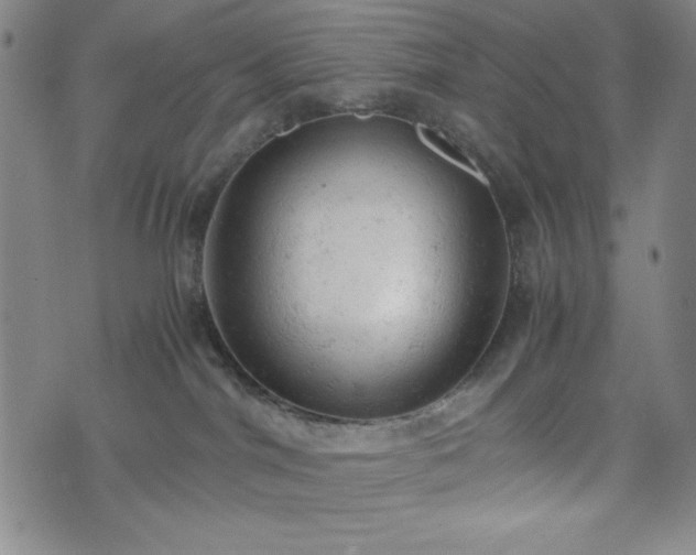 X0000072550044200607211410