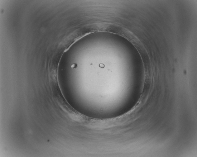 X0000072550045200607211410