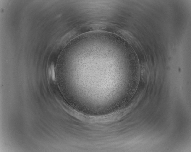 X0000072550046200607211410