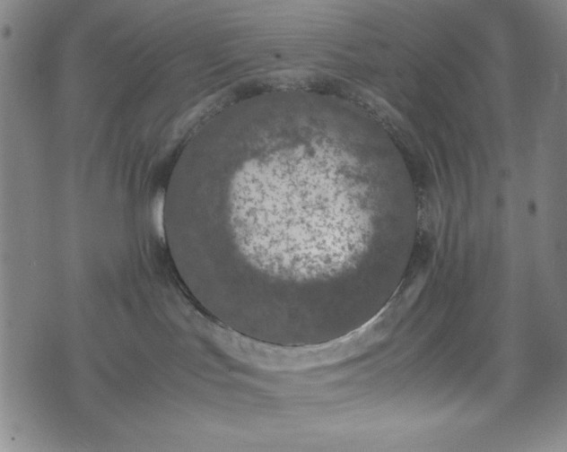 X0000072550047200607211410