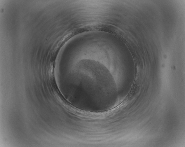 X0000072550048200607211410