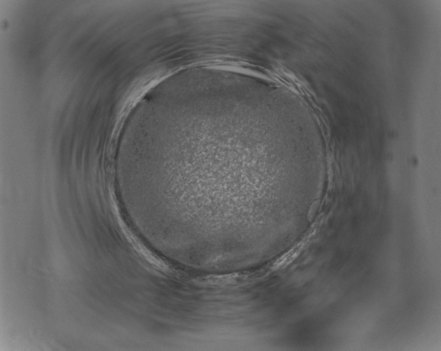 X0000072550049200607211409