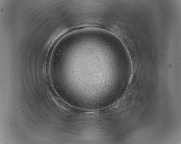 X0000072550050200607211409