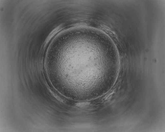 X0000072550051200607211409