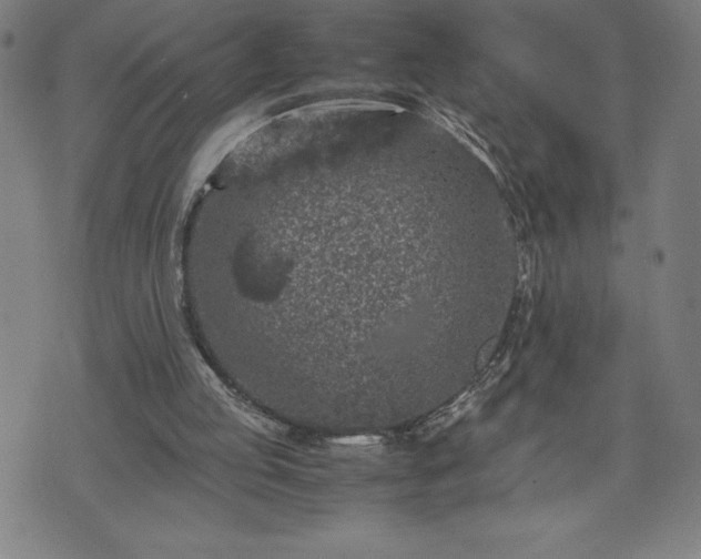 X0000072550053200607211409