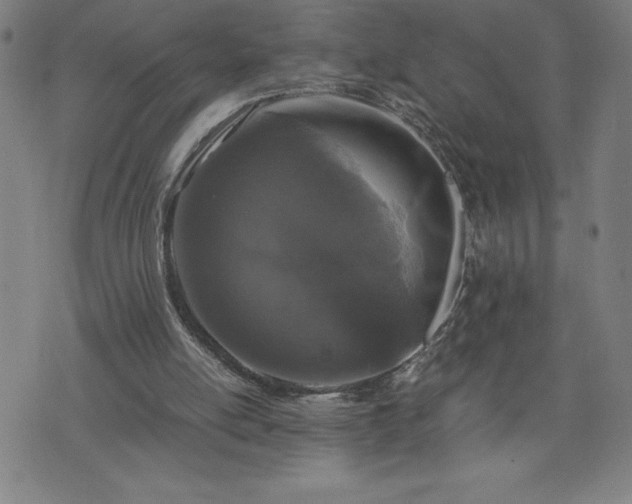 X0000072550054200607211409