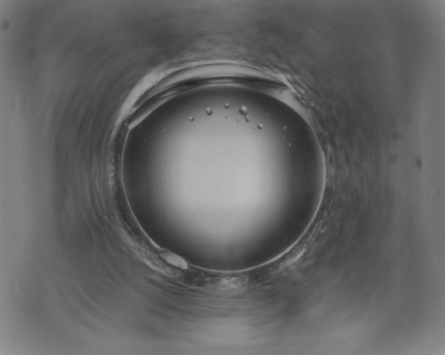 X0000072550056200607211409