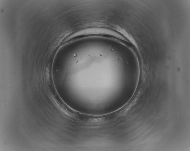 X0000072550057200607211409