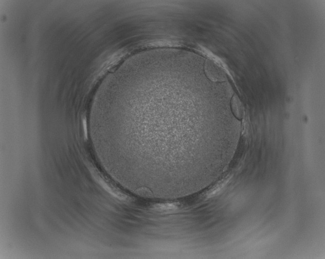 X0000072550061200607211409