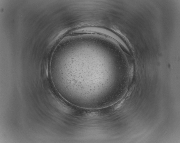 X0000072550062200607211409