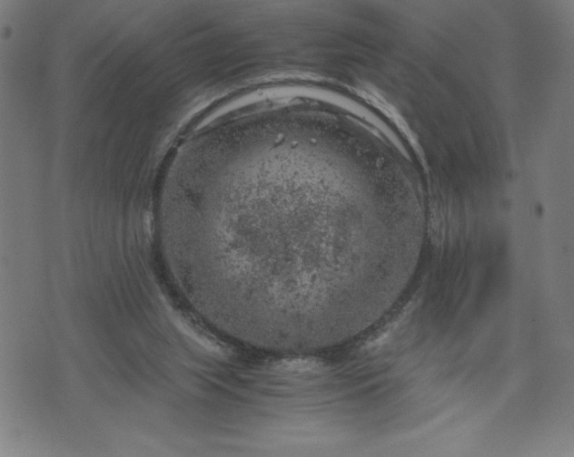 X0000072550063200607211409