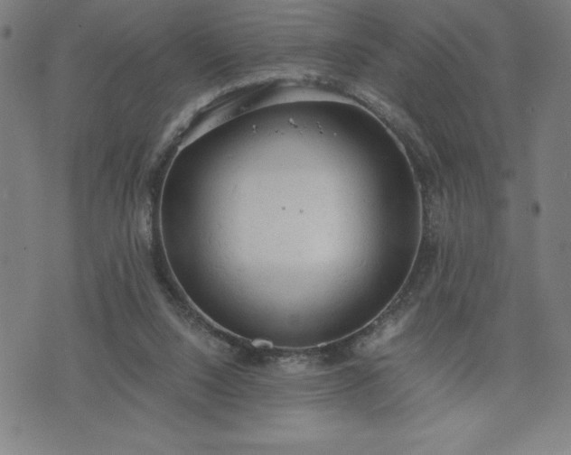 X0000072550064200607211409