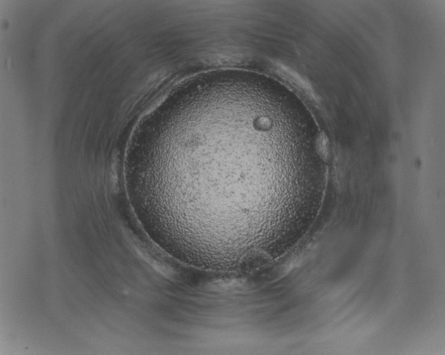 X0000072550065200607211409