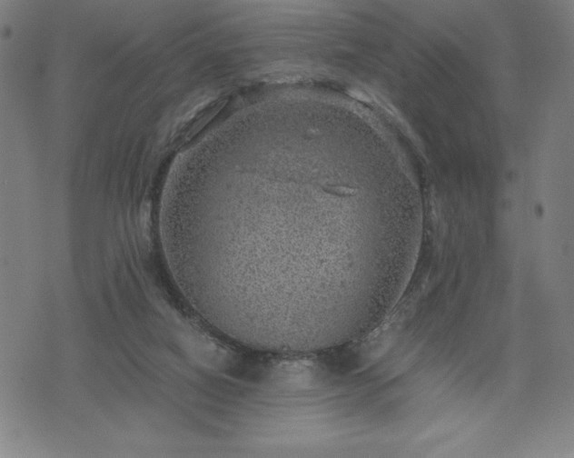 X0000072550066200607211409