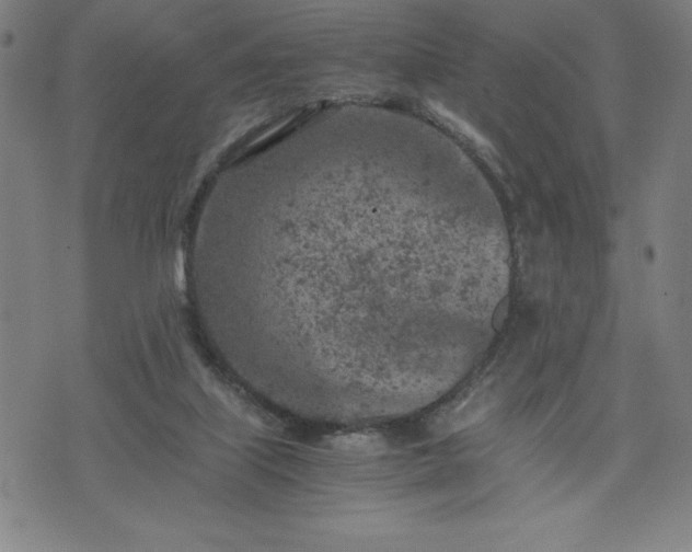 X0000072550067200607211409