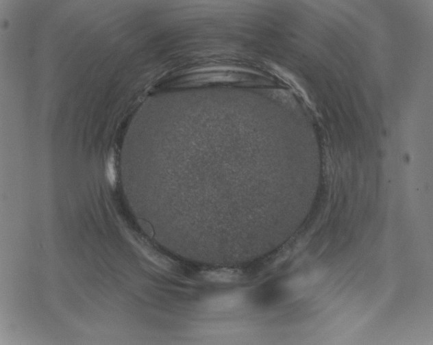 X0000072550069200607211409