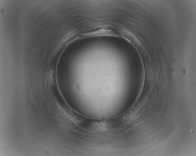 X0000072550071200607211409