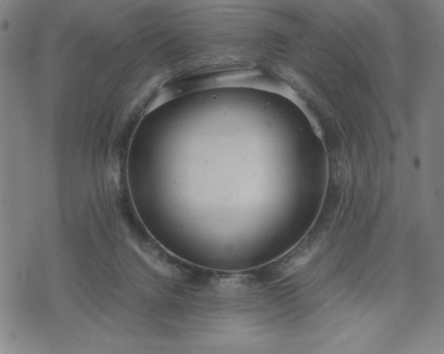 X0000072550072200607211409