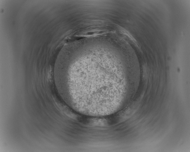 X0000072550073200607211409