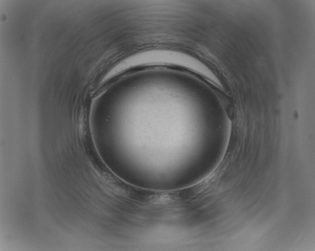 X0000072550074200607211409