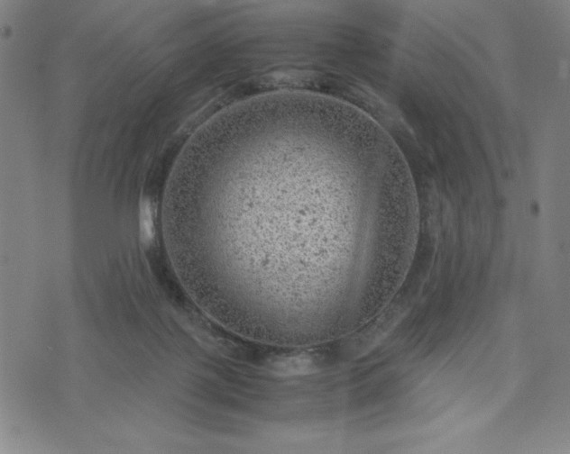 X0000072550075200607211410