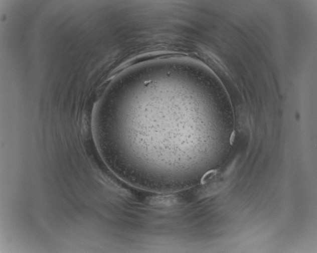 X0000072550077200607211410